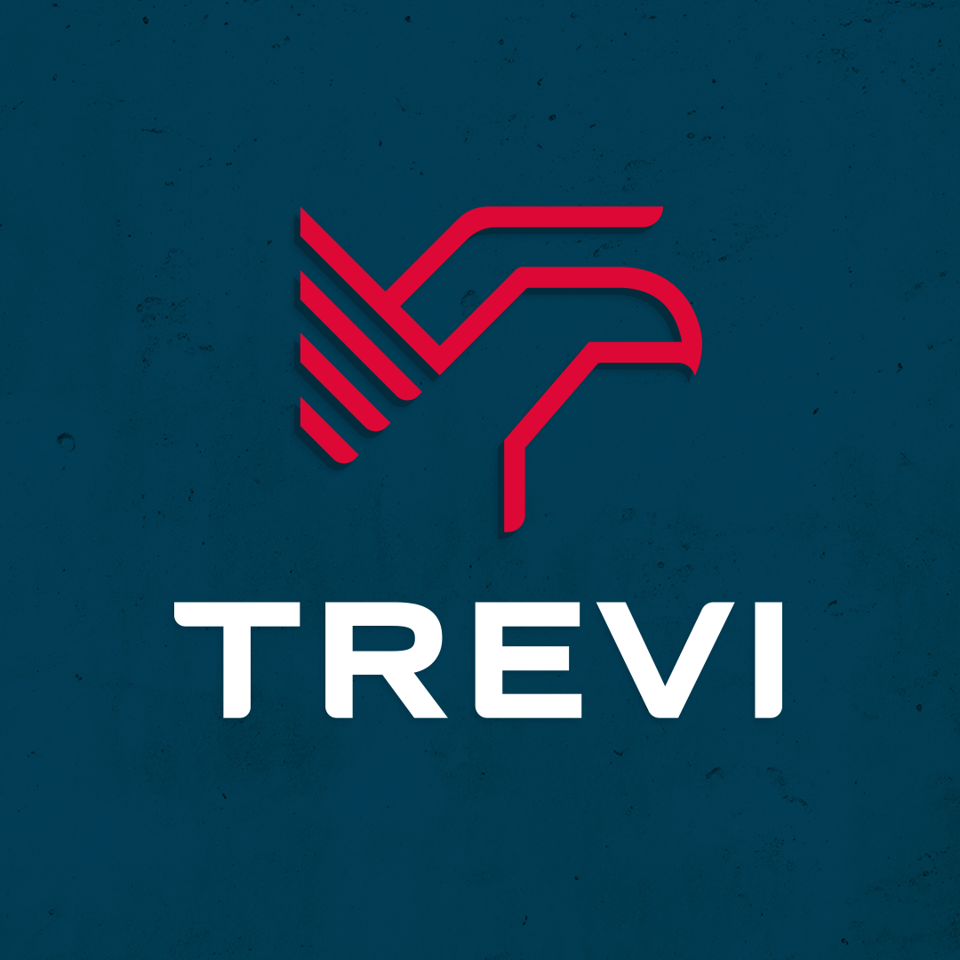 logo trevi
