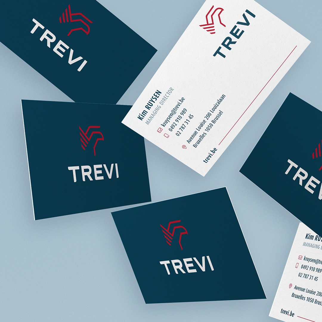 projet trevi